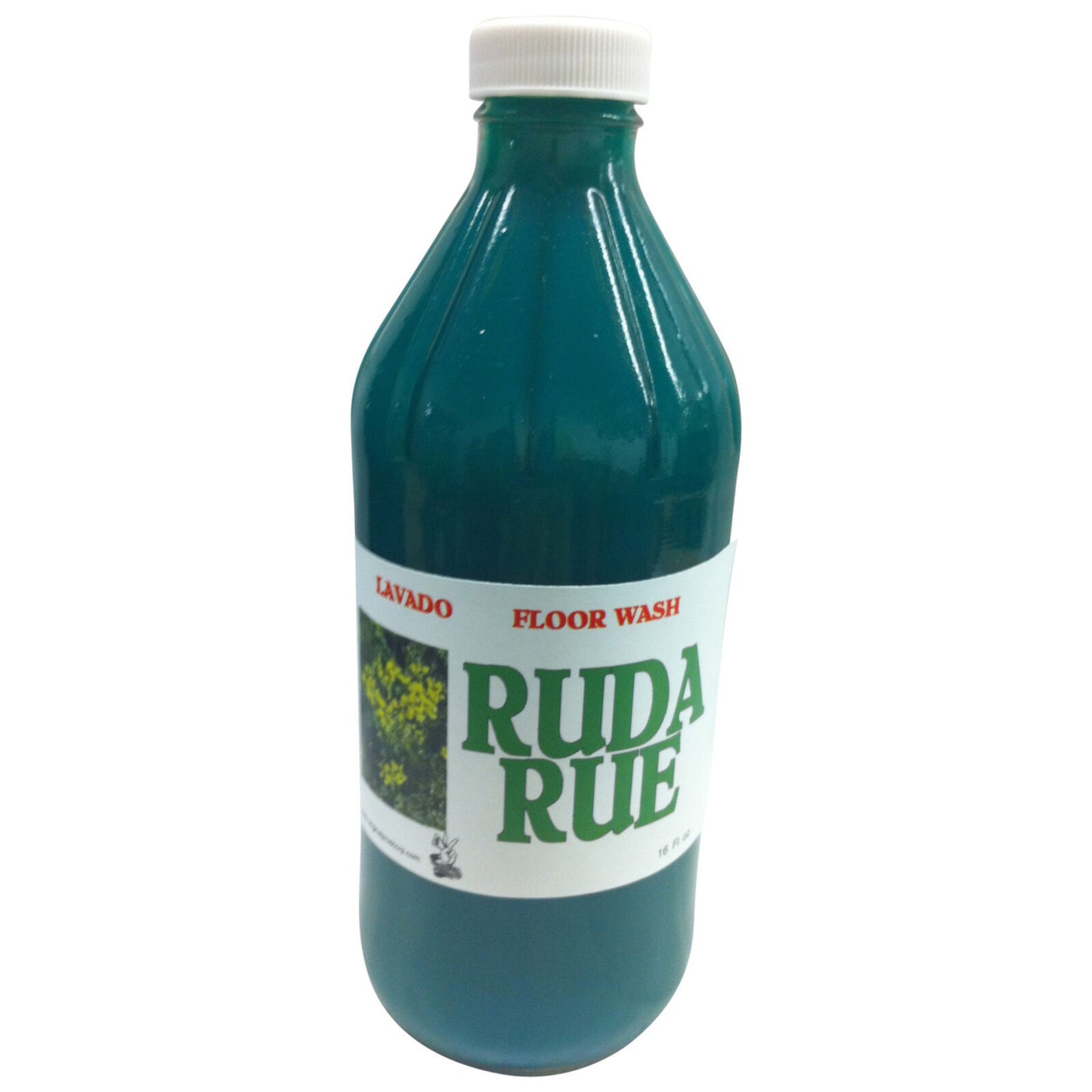 Rue (Ruda) Floor Wash 16oz glass bottle, perfect for attracting good luck and prosperity, featuring the powerful rue plant.